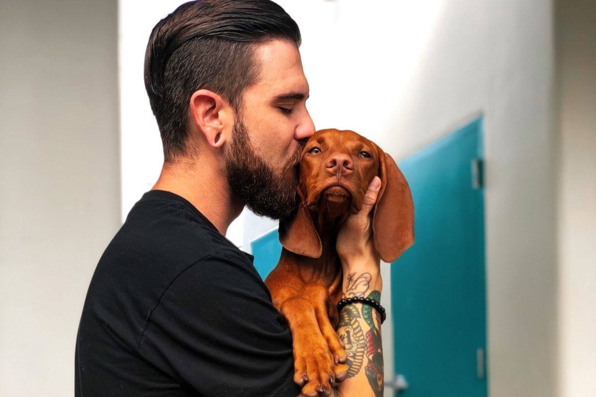 Secretos sobre perros que siempre quisiste aprender: ¿Cómo hacer que tu perro te entienda?