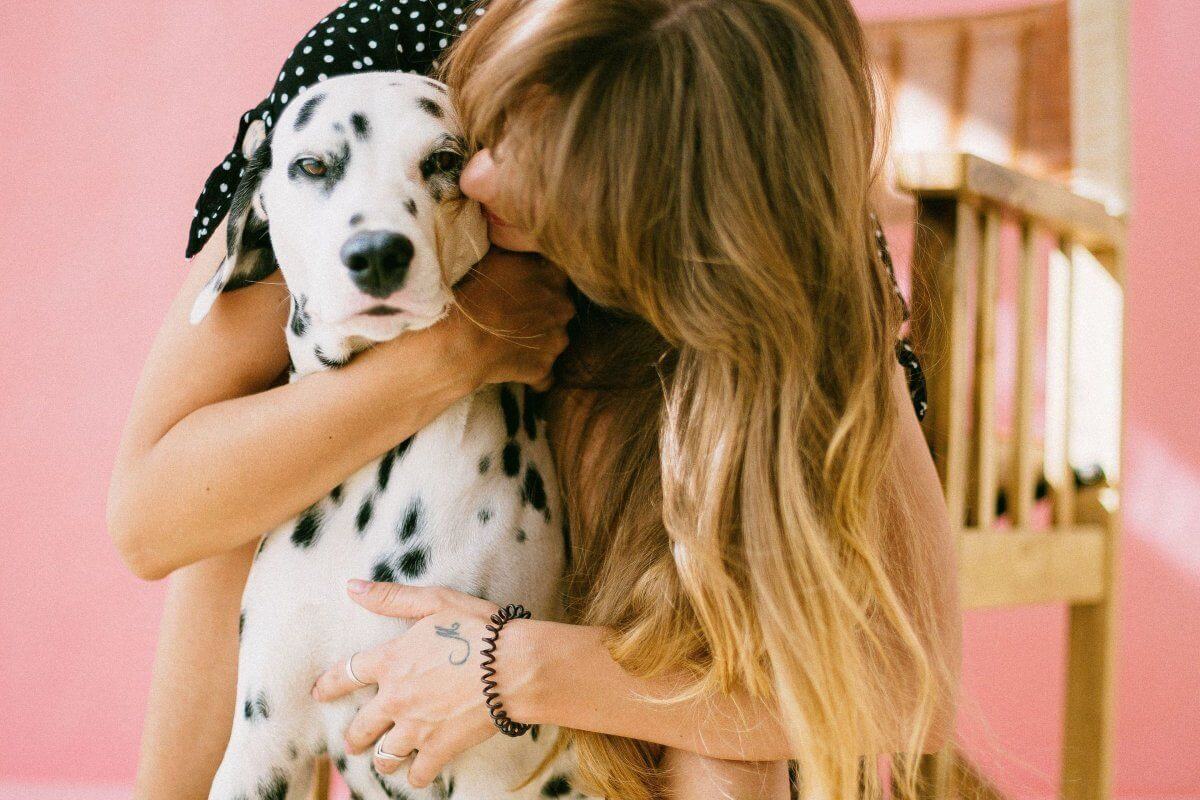 Ideas para viajar con perros ¡sin dejarlos en casa!