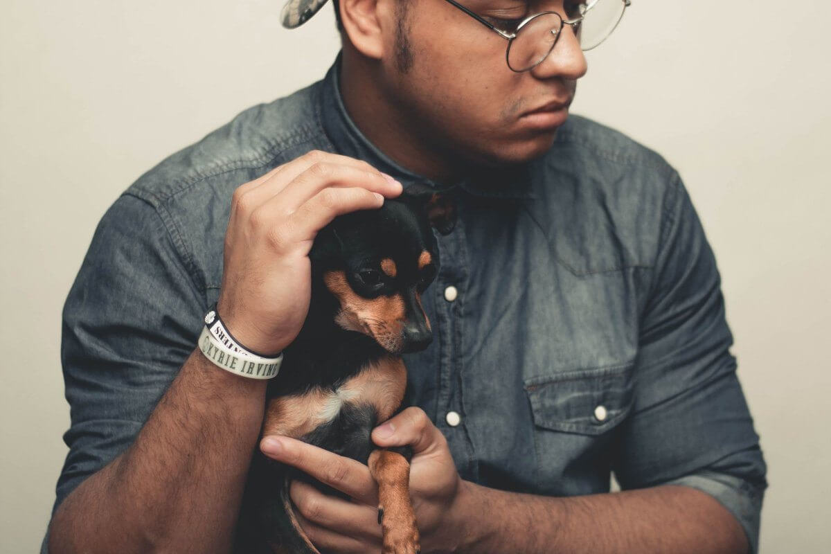 Hablemos de las vacunas necesarias para un perro ¿cuáles poner y cuáles no?