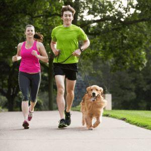 Cómo tener un perro sano ¡desde que es cachorro hasta la vejez!