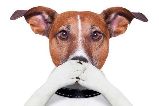 ¿Sabes cómo interpretar las etiquetas de los piensos? Aprende a valorar la calidad de su comida