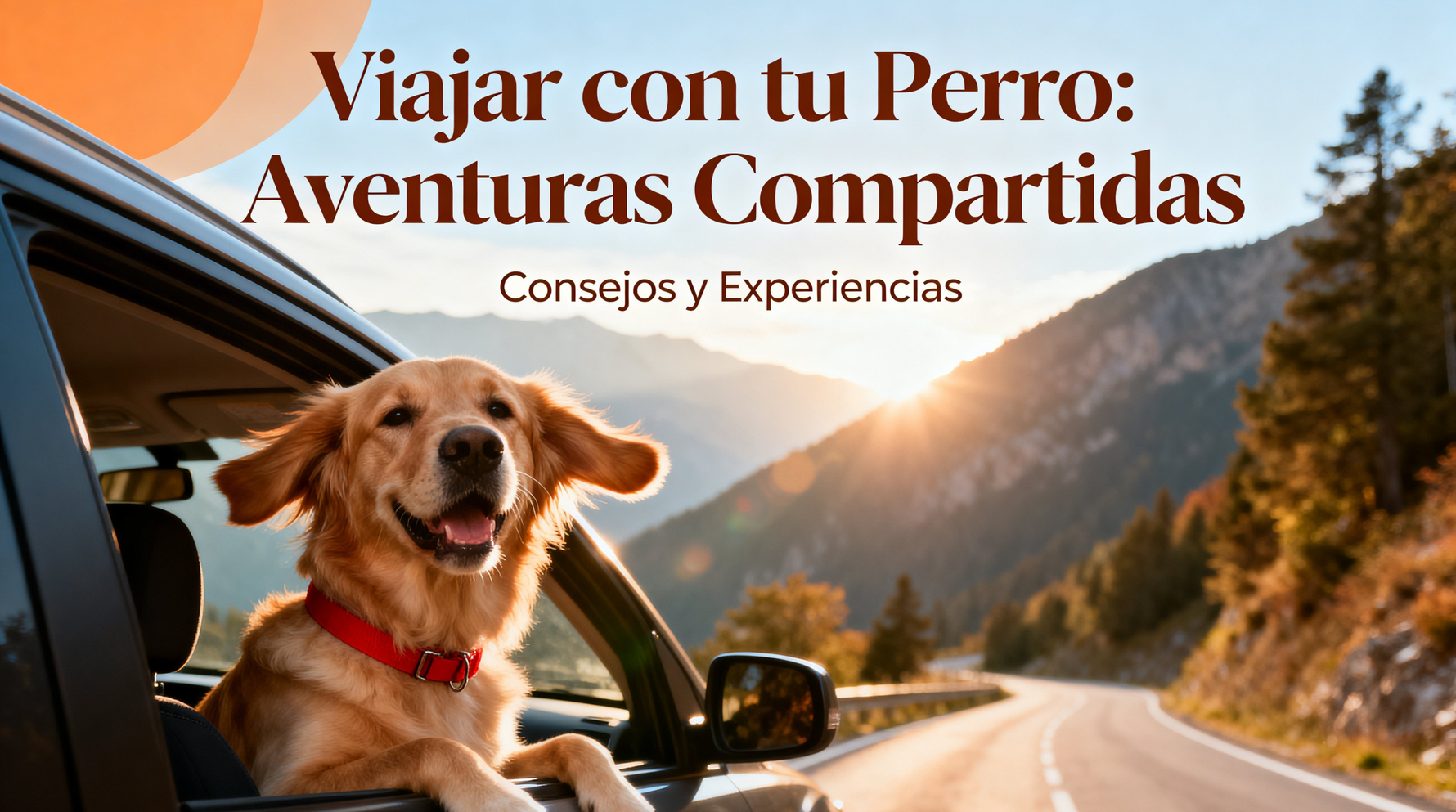Viajar con perro: qué llevar y consejos prácticos para una escapada segura