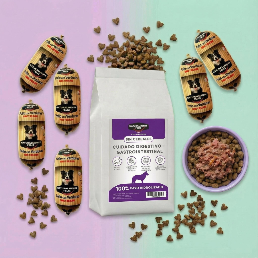 Dieta Mixta Digestión Suave.png