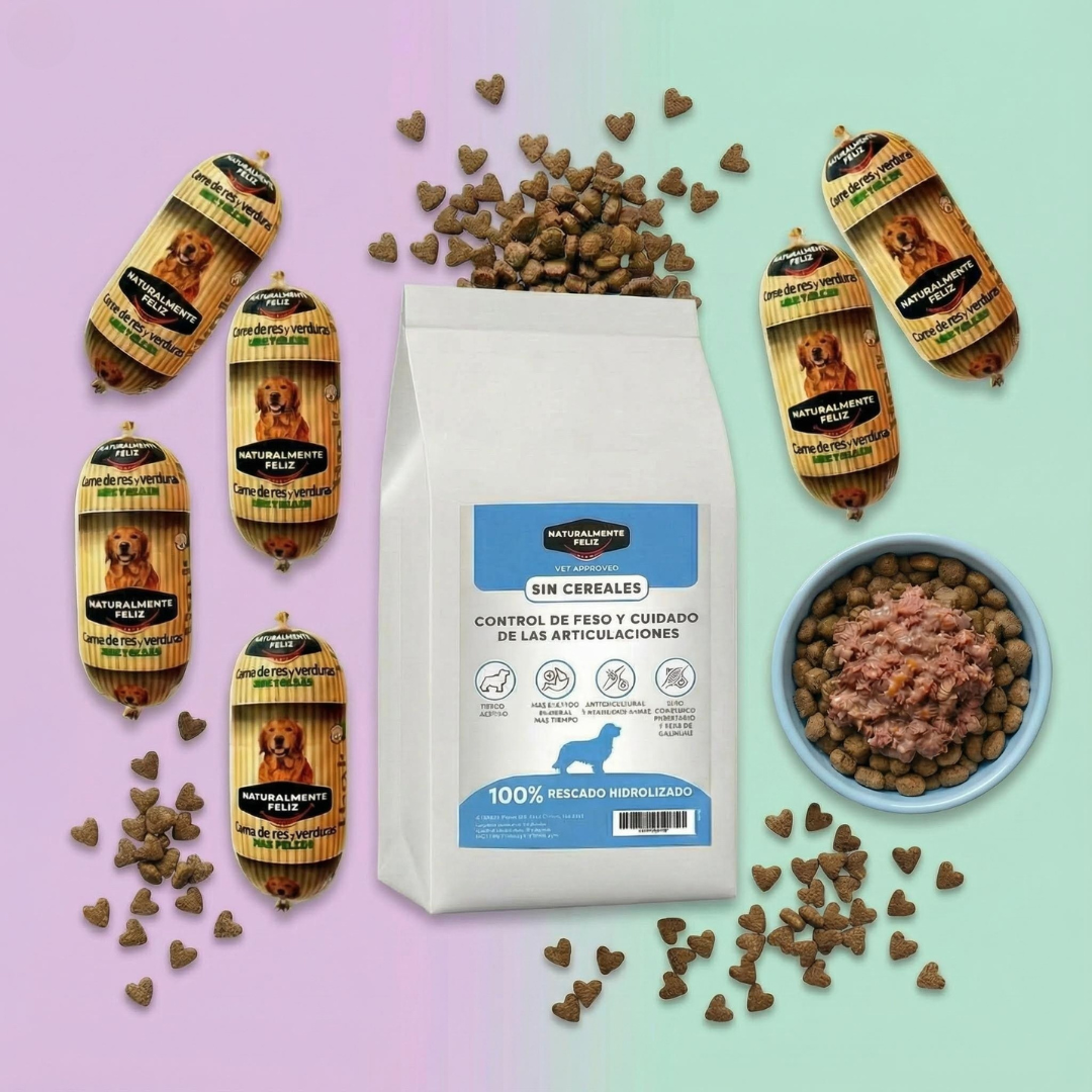 Dieta Mixta Sobrepeso.png