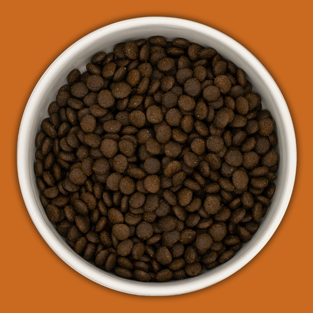 Pienso Grain Free para Gatitos · Pollo y Salmón con Boniato 2 kg