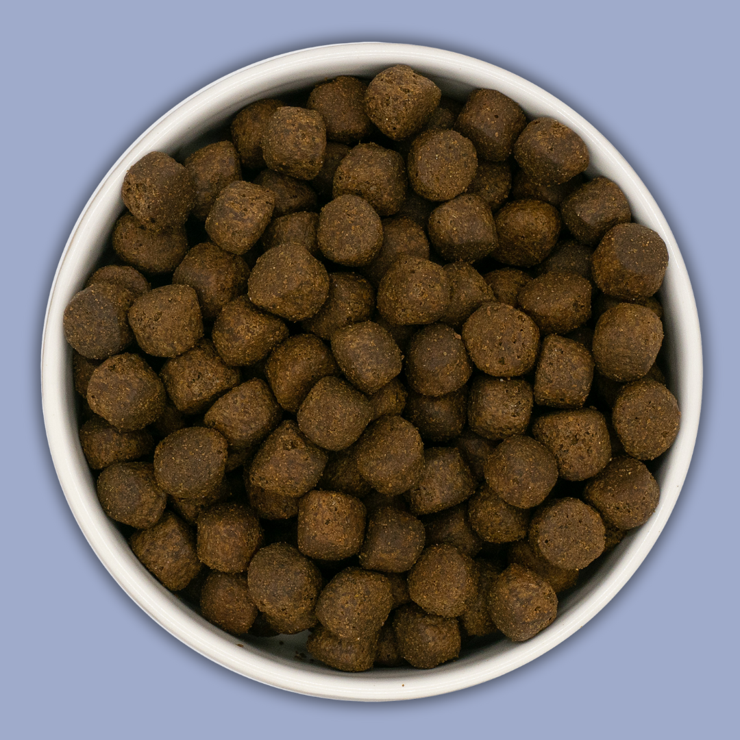 Pienso para Cachorro Raza Grande - SALMÓN (60% Total) Con Boniato y Verduras - Grain Free