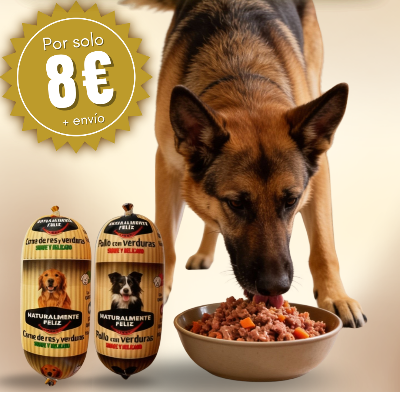 Pack Degustación · Menú Natural de Pollo y Ternera para Perros (2 × 450 g)