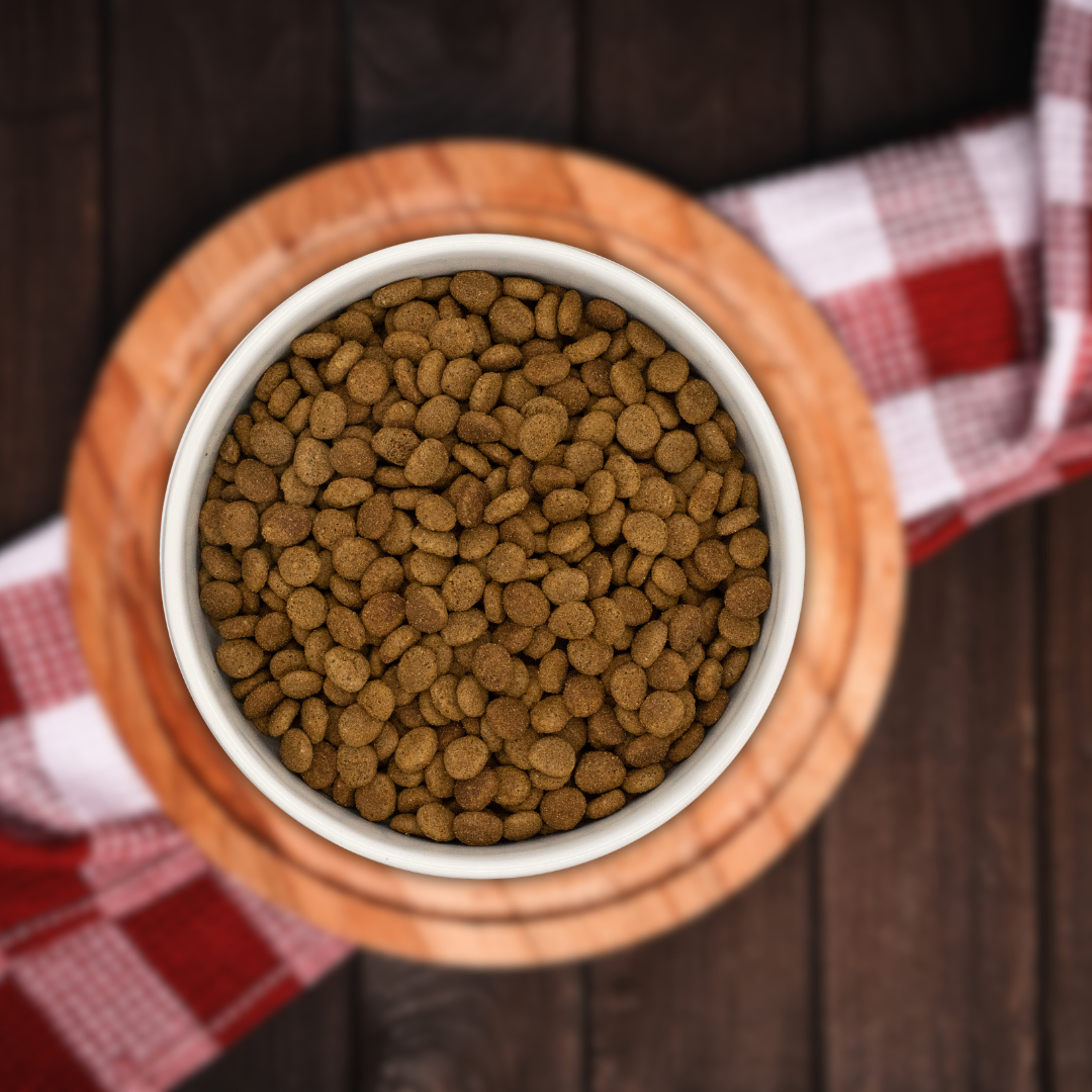 Pienso Natural para gato Pollo, atún y salmón tamaño croqueta