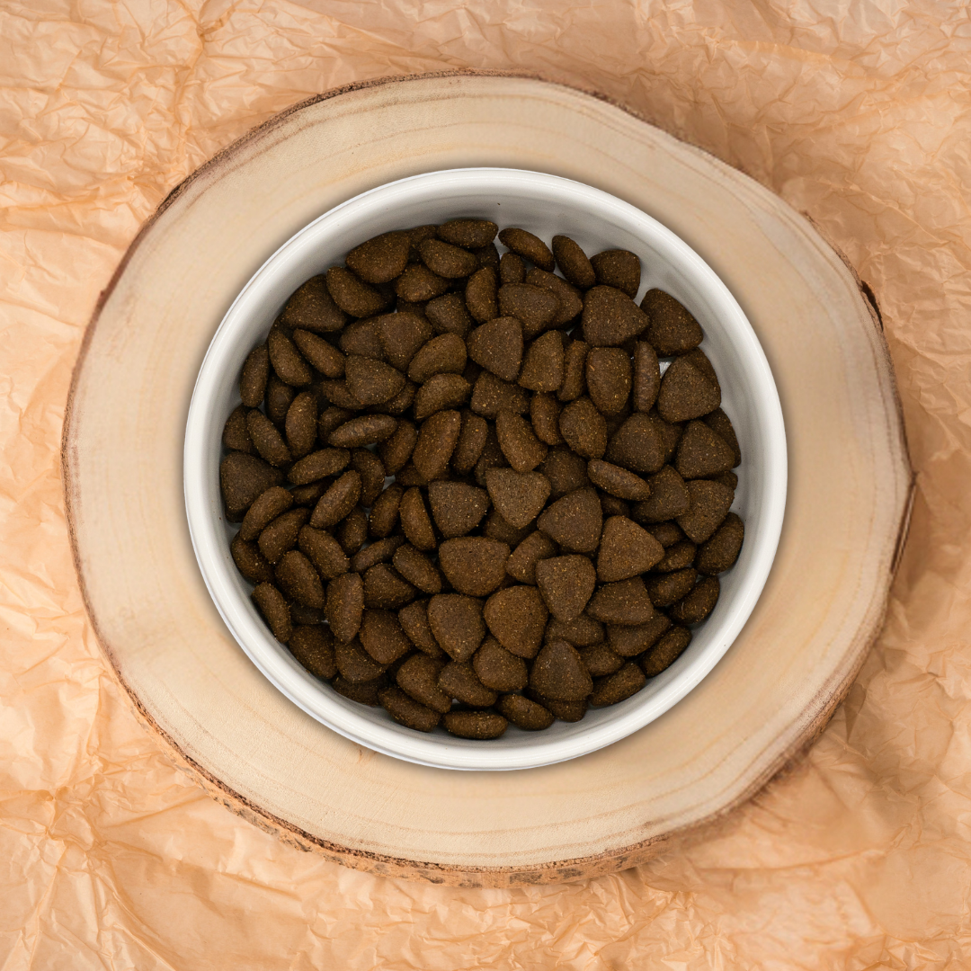 Pienso Natural Grain Free para perro mediano grande Pollo de corral con jengibre, granada, col rizada, alcachofa y arándano corqueta