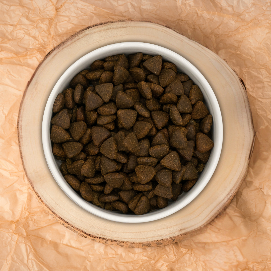 Pienso Grain Free perro mediano grande Salmón Escocés con  eneldo, espinacas, hinojo, espárragos y tomate Naturalmente Feliz tamaño croqueta