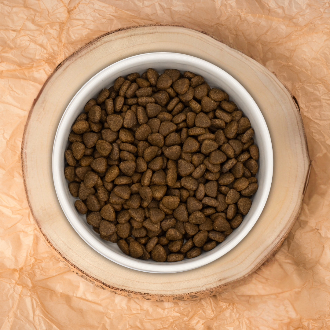 Pienso natural Grain Free Naturalmente feliz de Pavo de corral con perejil, papaya, calabacín y calabaza para perros mediano pequeño tamaño croqueta