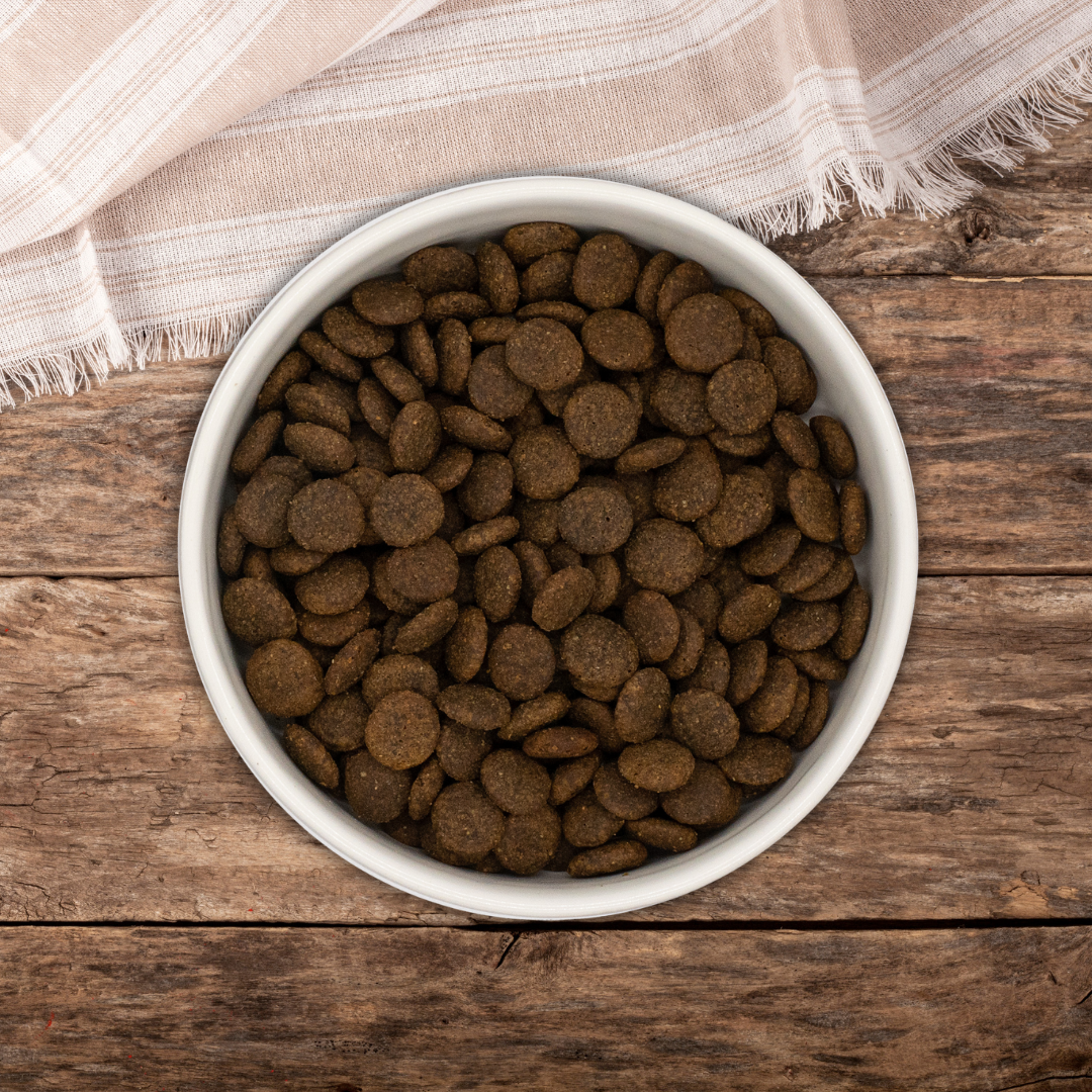 Pienso Cerdo con Manzana  – Perro Adulto 6 kg