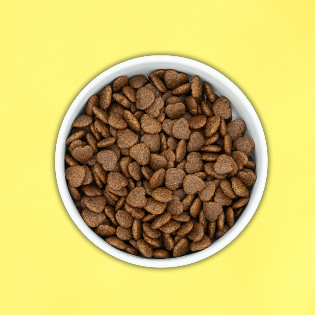 Pienso Healthy Living – Hipoalergénico - Todas las edades